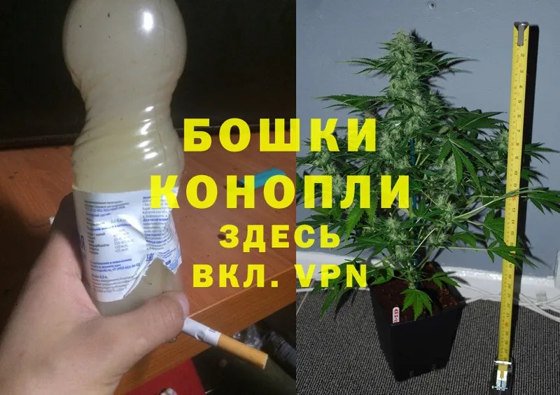 цены   Новомосковск  Конопля Bruce Banner 